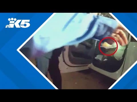 New bodycam footage shows moments police confront suspect behind New Orleans terrorist attack