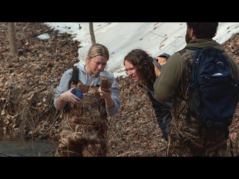 Bugs Below Zero: Minnesota researchers dive into the world of winter-active insects