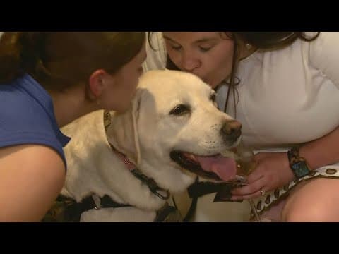 Big Birthday Bash for Sully the Service Dog | The Night Cap
