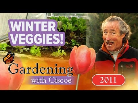 WINTER VEGGIES! Keep Your Garden Growing in Cold Weather! | Gardening With Ciscoe | Full Episode