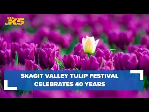 5 things to know before going to Skagit Valley Tulip Festival