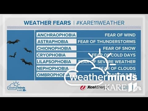 WeatherMinds: Different fears of weather