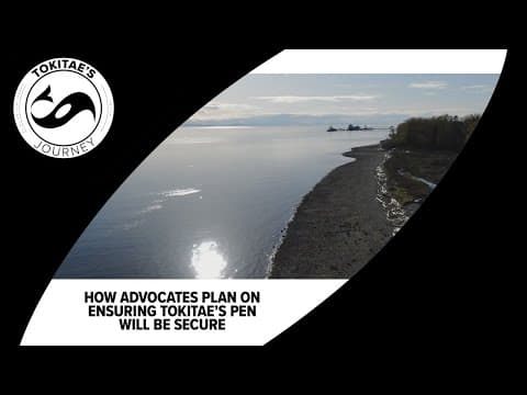 How advocates plan to ensure Tokitae's pen will be secure, protected