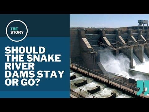 Should the Snake River dams stay or go?