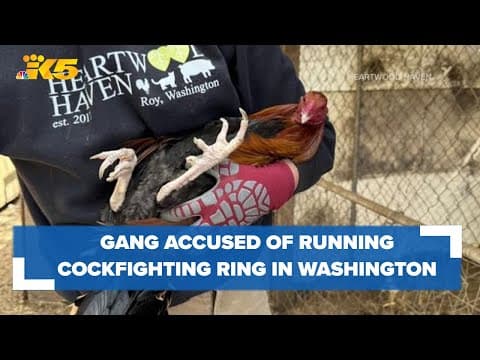 Violent prison gang accused of running cockfighting ring in eastern Washington