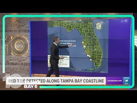 Health officials issue alert for elevated red tide levels at several Sarasota beaches