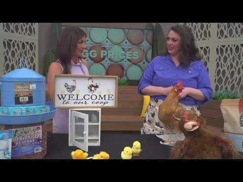 Hawthorne Country Store to celebrate ‘Chicktopia’ | March 8