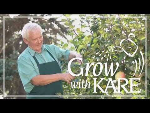 Grow with KARE: Apple scab
