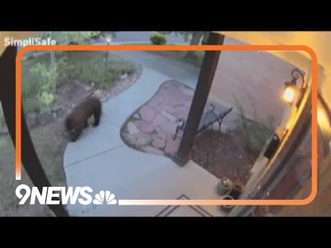 Bear spotted in Broomfield neighborhood