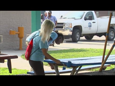 Project Indy portal launches with over 250 available summer jobs for young people