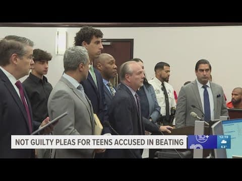 6 teens plead not guilty to beating up teen at Davis Island Dog Park