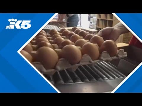 Wholesale eggs have dropped to $3 per dozen