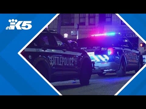 Multiple people stabbed near Seattle park, police say