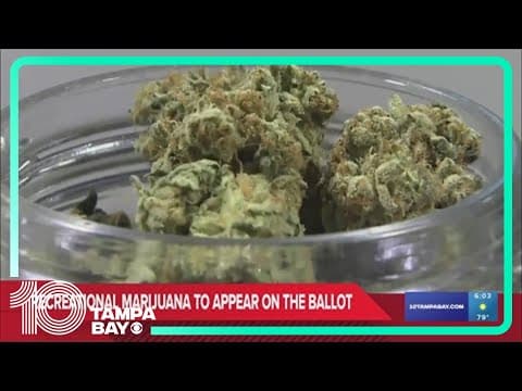 Florida voters will be able to vote on the legality of recreational marijuana on the November ballot