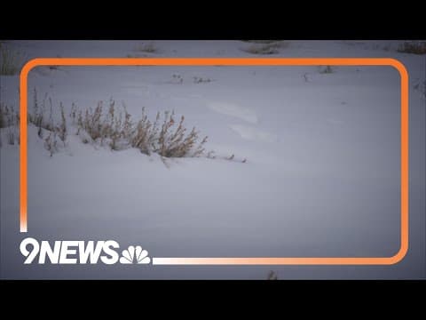 When can wolves be killed? Ranchers and some lawmakers want clarity