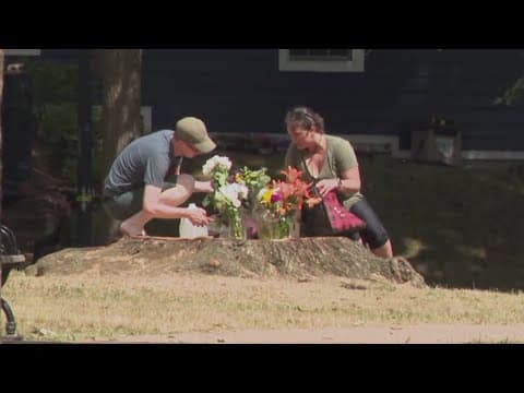 Neighbors ask for safety maintenance at DC park after woman is killed by fallen tree limb