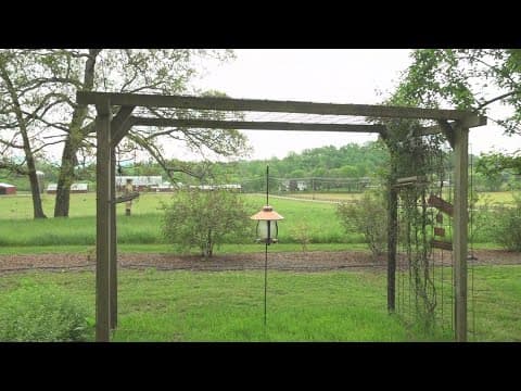 Green thumb or not, you can help native species thrive