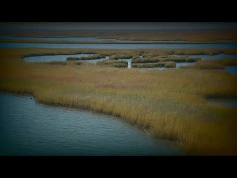 Landmark verdict shakes up debate over Big Oil's damage to coastal Louisiana