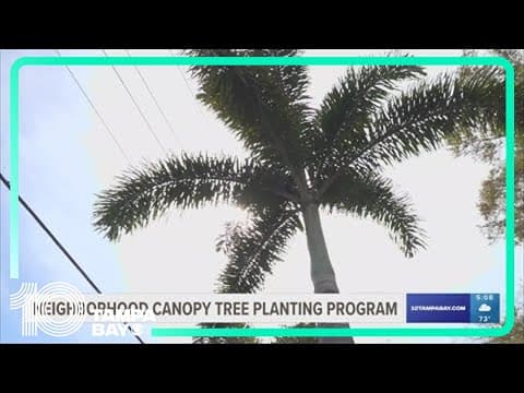 Sarasota's tree planting program rebrands to help keep the environment green