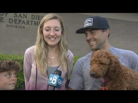'We're very happy' | CBS 8 reunites stolen Goldendoodle puppy Chancho with family from Utah