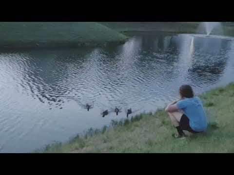 Delaware teen earns nickname ‘duck dad’ after taking care of 4 ducks