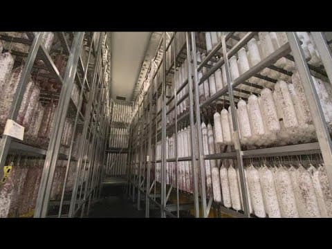 Salami lovers unite: It's National Salami Day!!