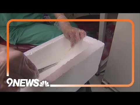 Alabama clinics stop IVF treatments after judge's ruling