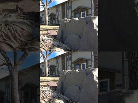 Rising HOA insurance fees driving up condo dues