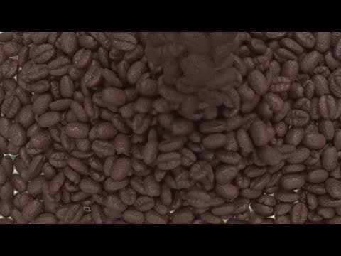 How important is coffee to you?