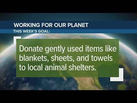 Donate used items to animal shelters | Working for Our Planet