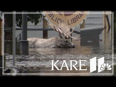 St. Louis County flooding