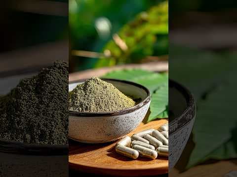 Concentrated version of 'kratom' concerns WA Poison Center