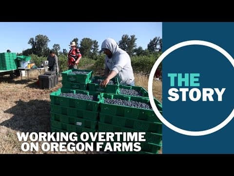 Oregon farmer says she can't afford to pay workers overtime, now that it's required