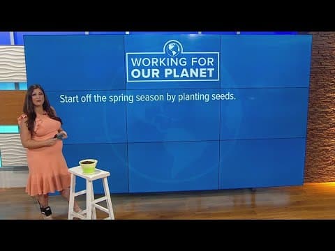 Working for Our Planet | Planting seeds on first day of Spring