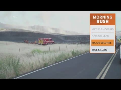 VIDEO: Wildfires destroy homes