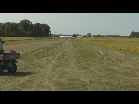 Police identify man killed in Henry County plane crash
