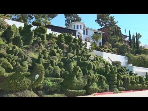 Harper's Topiary Garden | San Diego woman designs unique home garden