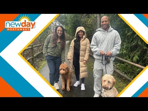 Dog walking with The Locketts - New Day NW