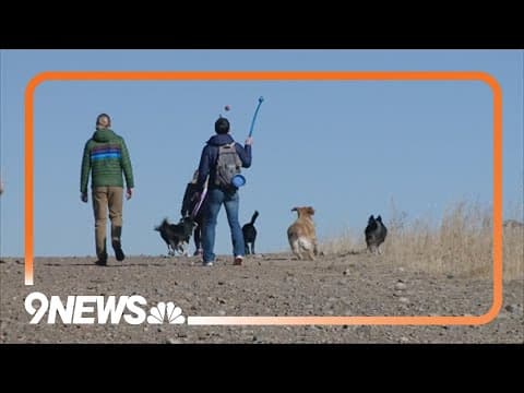 Dog owners upset over potential changes to off-leash dog park
