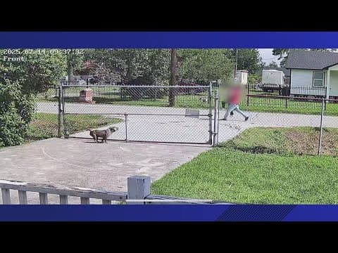 East Harris County neighbor's doorbell camera captures what he thought was child abduction