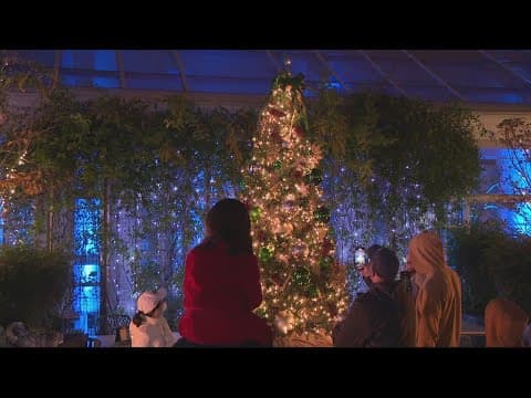 Holiday magic at the Fairmont Hotel in DC