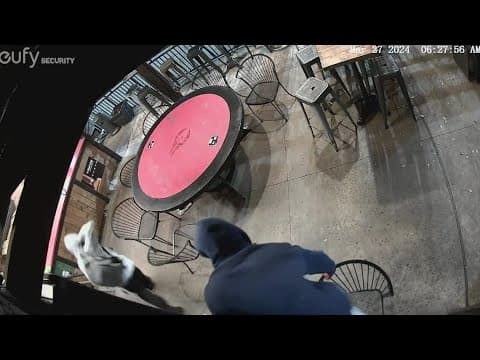 Surveillance video shows burglary at Phoenix on Westheimer