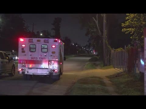 2 killed, 9 hurt in drive-by shooting at northeast Houston block party, police say