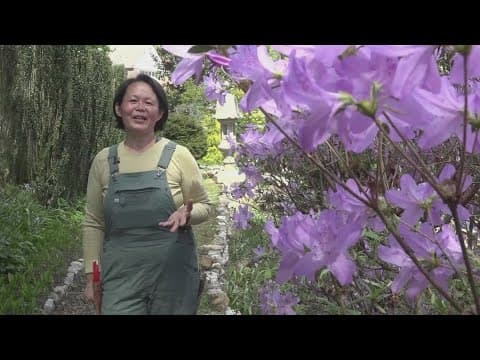 Dogwood Arts to open 3 featured gardens on private properties