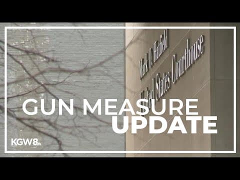 Oregon DOJ asks judge for delay in starting Measure 114 gun permit requirement