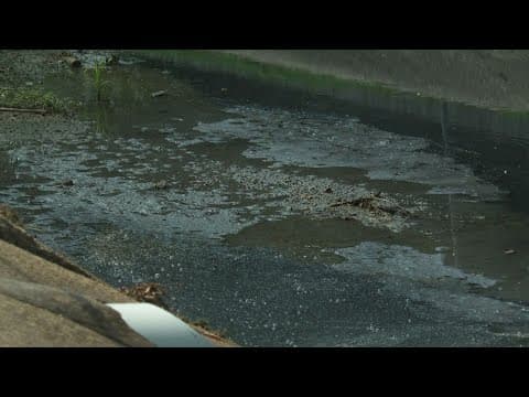 Foul smell linked to Harahan canal sewage leak
