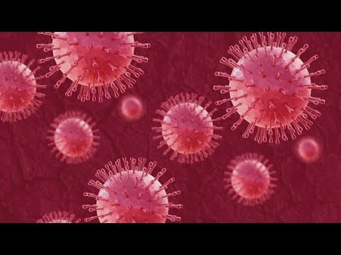 5 Years Ago Today: World Health Organization declares COVID-19 a pandemic