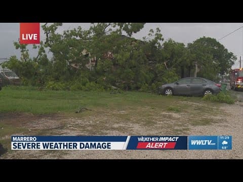 Team Coverage: Severe weather knocks out power, downed power lines, trees