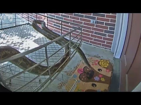 A Cypress homeowner checked out her doorbell camera and saw this slithering there