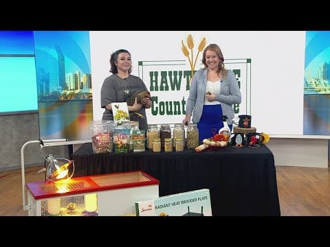 Hawthorne County Store celebrates 20th annual Flocktober